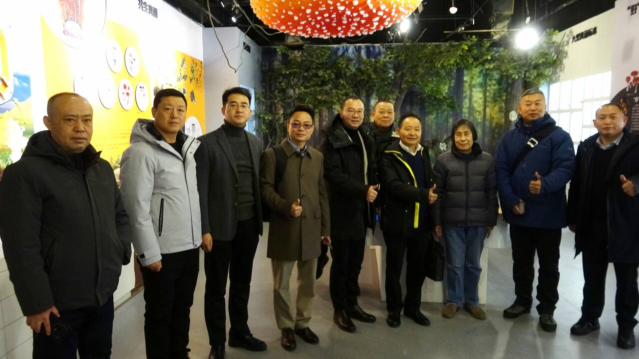 杭州亞運(yùn)會(huì)官方靈芝產(chǎn)品供應(yīng)商|杭州亞運(yùn)會(huì)官方供應(yīng)商|中國(guó)靈芝十大品牌|仙客來(lái)靈芝|仙客來(lái)靈芝破壁孢子粉|仙客來(lái)孢子油|仙客來(lái)靈芝飲片|仙客來(lái)破壁孢子粉|靈芝孢子油|孢子粉|靈芝破壁孢子粉|靈芝|中華老字號(hào) 杭州亞運(yùn)會(huì)官方靈芝產(chǎn)品供應(yīng)商|杭州亞運(yùn)會(huì)官方供應(yīng)商|中國(guó)靈芝十大品牌|仙客來(lái)靈芝|仙客來(lái)靈芝破壁孢子粉|仙客來(lái)孢子油|仙客來(lái)靈芝飲片|仙客來(lái)破壁孢子粉|靈芝孢子油|孢子粉|靈芝破壁孢子粉|靈芝|中華老字號(hào)