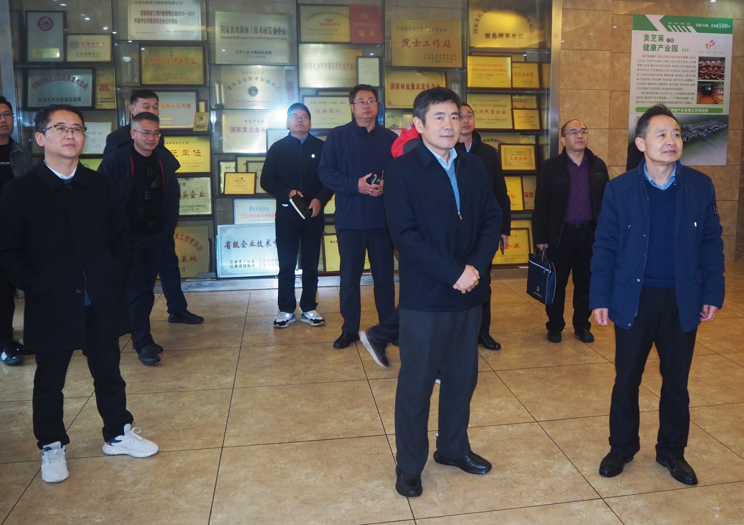 杭州亞運會官方靈芝產(chǎn)品供應(yīng)商|杭州亞運會官方供應(yīng)商|中國靈芝十大品牌|仙客來靈芝|仙客來靈芝破壁孢子粉|仙客來孢子油|仙客來靈芝飲片|仙客來破壁孢子粉|靈芝孢子油|孢子粉|靈芝破壁孢子粉|靈芝|中華老字號 杭州亞運會官方靈芝產(chǎn)品供應(yīng)商|杭州亞運會官方供應(yīng)商|中國靈芝十大品牌|仙客來靈芝|仙客來靈芝破壁孢子粉|仙客來孢子油|仙客來靈芝飲片|仙客來破壁孢子粉|靈芝孢子油|孢子粉|靈芝破壁孢子粉|靈芝|中華老字號