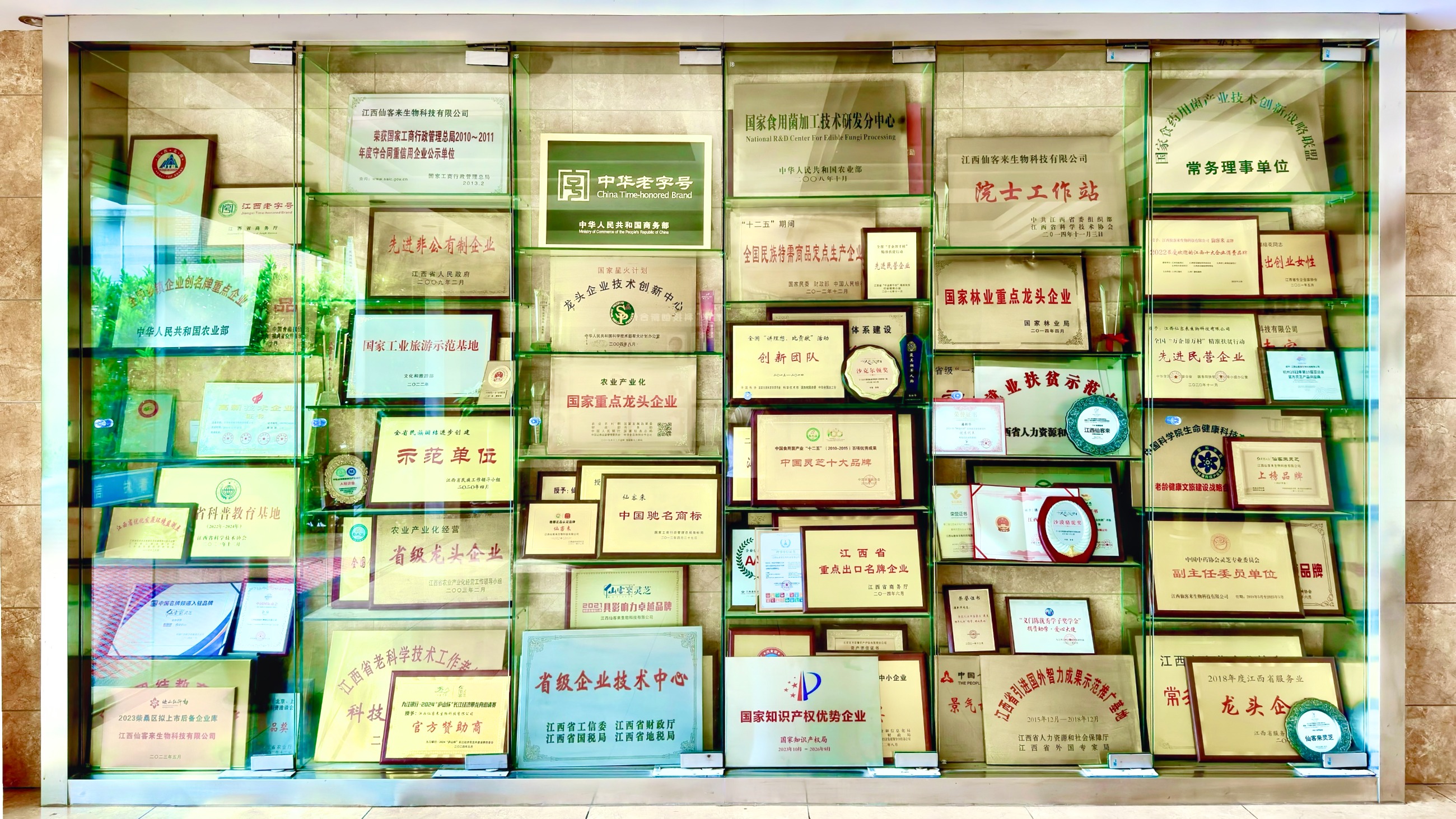 杭州亞運(yùn)會官方靈芝產(chǎn)品供應(yīng)商|杭州亞運(yùn)會官方供應(yīng)商|中國靈芝十大品牌|仙客來靈芝|仙客來靈芝破壁孢子粉|仙客來孢子油|仙客來靈芝飲片|仙客來破壁孢子粉|靈芝孢子油|孢子粉|靈芝破壁孢子粉|靈芝|中華老字號