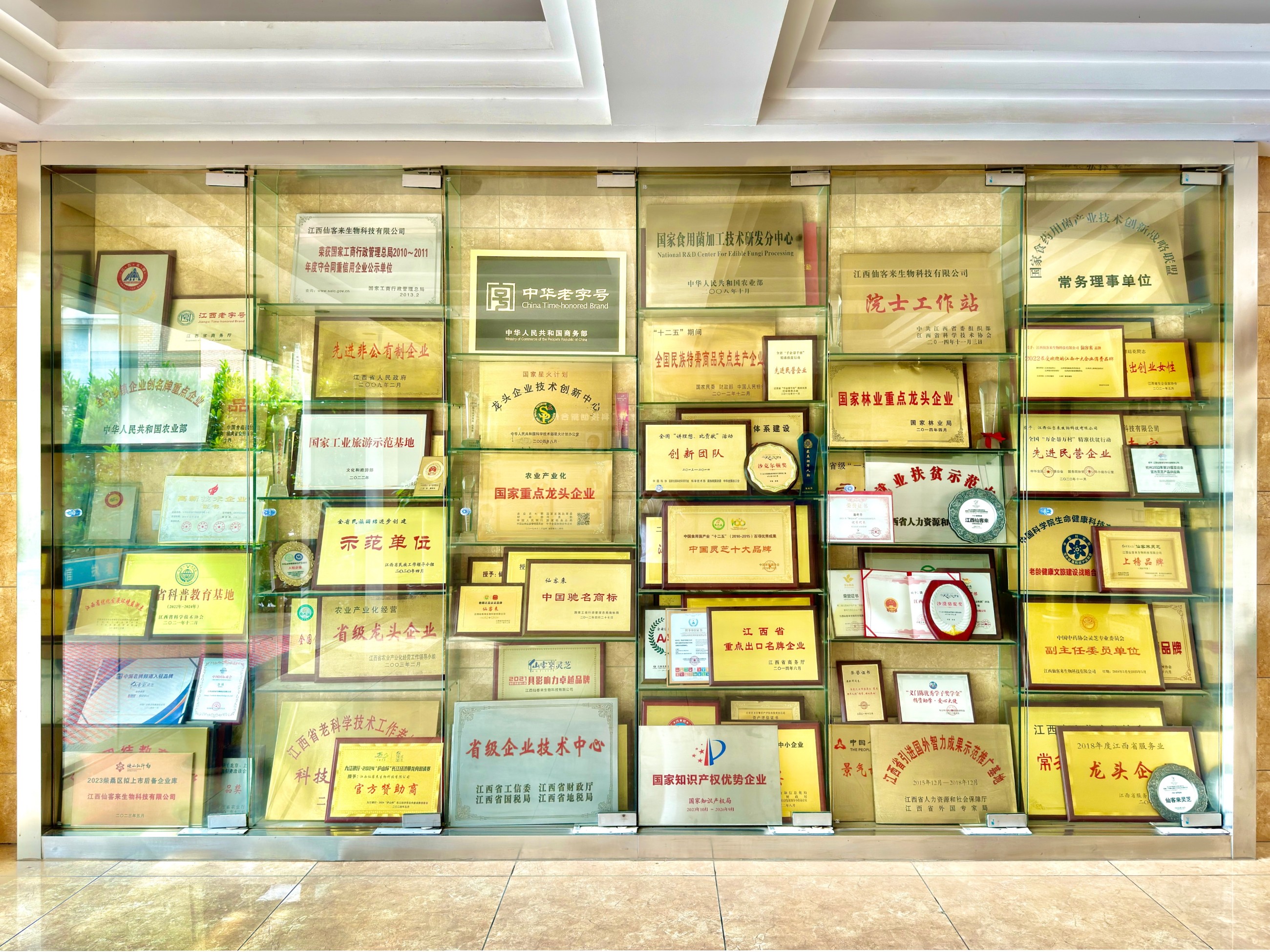 杭州亞運會官方靈芝產品供應商|杭州亞運會官方供應商|中國靈芝十大品牌|仙客來靈芝|仙客來靈芝破壁孢子粉|仙客來孢子油|仙客來靈芝飲片|仙客來破壁孢子粉|靈芝孢子油|孢子粉|靈芝破壁孢子粉|靈芝|中華老字號