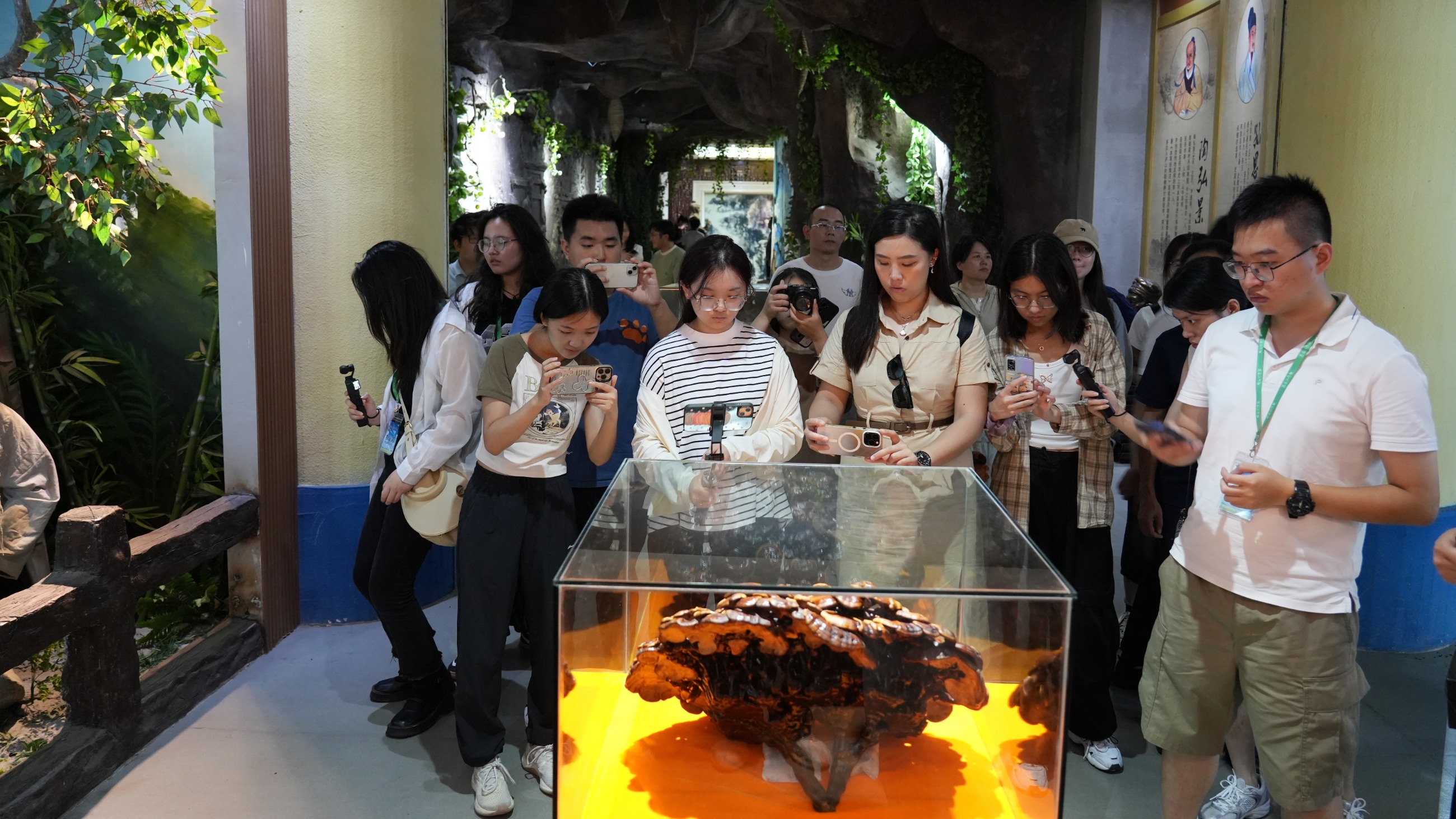 杭州亞運會官方靈芝產(chǎn)品供應商|杭州亞運會官方供應商|中國靈芝十大品牌|仙客來靈芝|仙客來靈芝破壁孢子粉|仙客來孢子油|仙客來靈芝飲片|仙客來破壁孢子粉|靈芝孢子油|孢子粉|靈芝破壁孢子粉|靈芝|中華老字號 杭州亞運會官方靈芝產(chǎn)品供應商|杭州亞運會官方供應商|中國靈芝十大品牌|仙客來靈芝|仙客來靈芝破壁孢子粉|仙客來孢子油|仙客來靈芝飲片|仙客來破壁孢子粉|靈芝孢子油|孢子粉|靈芝破壁孢子粉|靈芝|中華老字號