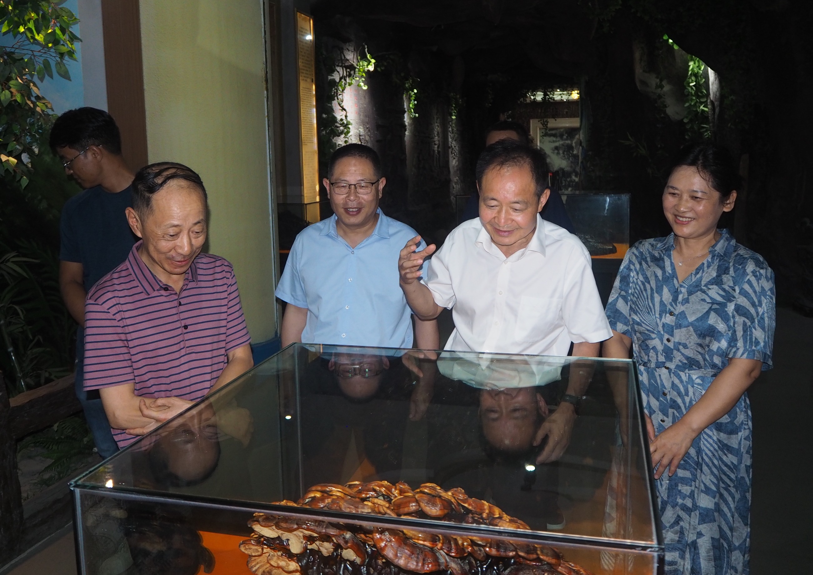 杭州亞運(yùn)會官方靈芝產(chǎn)品供應(yīng)商|杭州亞運(yùn)會官方供應(yīng)商|中國靈芝十大品牌|仙客來靈芝|仙客來靈芝破壁孢子粉|仙客來孢子油|仙客來靈芝飲片|仙客來破壁孢子粉|靈芝孢子油|孢子粉|靈芝破壁孢子粉|靈芝|中華老字號