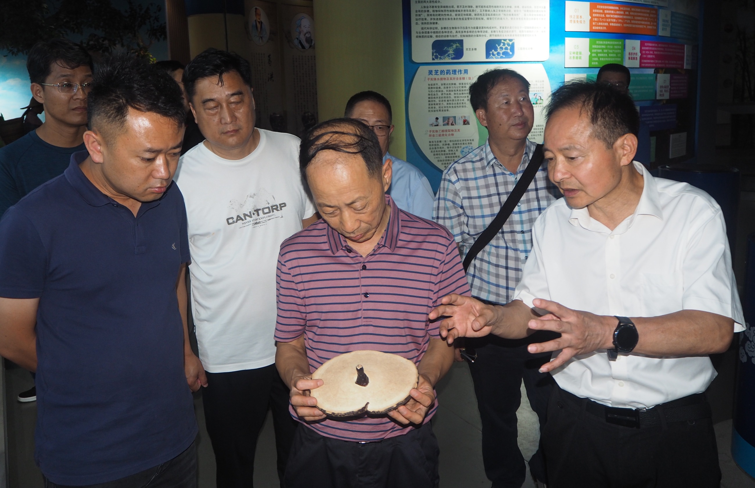 杭州亞運(yùn)會官方靈芝產(chǎn)品供應(yīng)商|杭州亞運(yùn)會官方供應(yīng)商|中國靈芝十大品牌|仙客來靈芝|仙客來靈芝破壁孢子粉|仙客來孢子油|仙客來靈芝飲片|仙客來破壁孢子粉|靈芝孢子油|孢子粉|靈芝破壁孢子粉|靈芝|中華老字號