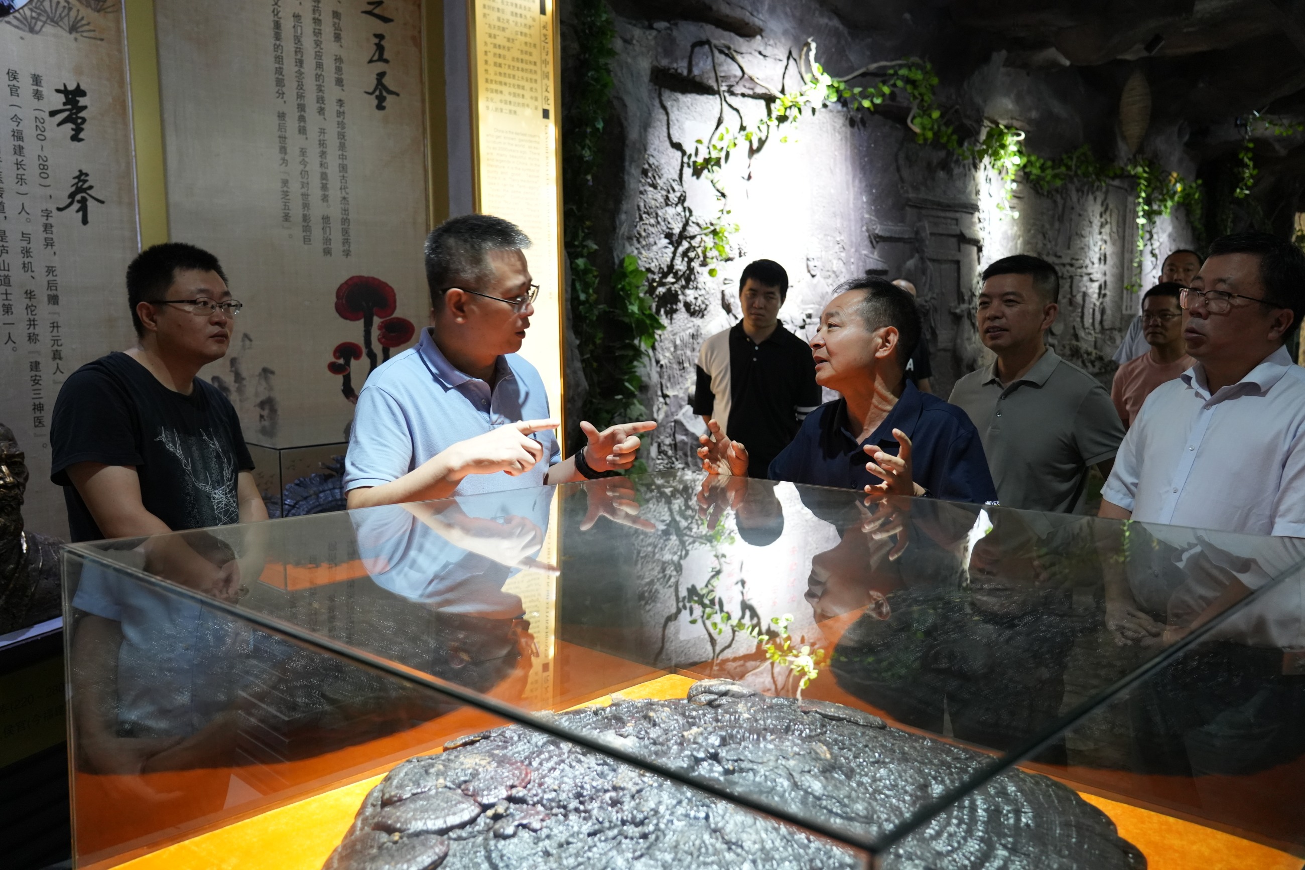 杭州亞運(yùn)會官方靈芝產(chǎn)品供應(yīng)商|杭州亞運(yùn)會官方供應(yīng)商|中國靈芝十大品牌|仙客來靈芝|仙客來靈芝破壁孢子粉|仙客來孢子油|仙客來靈芝飲片|仙客來破壁孢子粉|靈芝孢子油|孢子粉|靈芝破壁孢子粉|靈芝|中華老字號 杭州亞運(yùn)會官方靈芝產(chǎn)品供應(yīng)商|杭州亞運(yùn)會官方供應(yīng)商|中國靈芝十大品牌|仙客來靈芝|仙客來靈芝破壁孢子粉|仙客來孢子油|仙客來靈芝飲片|仙客來破壁孢子粉|靈芝孢子油|孢子粉|靈芝破壁孢子粉|靈芝|中華老字號