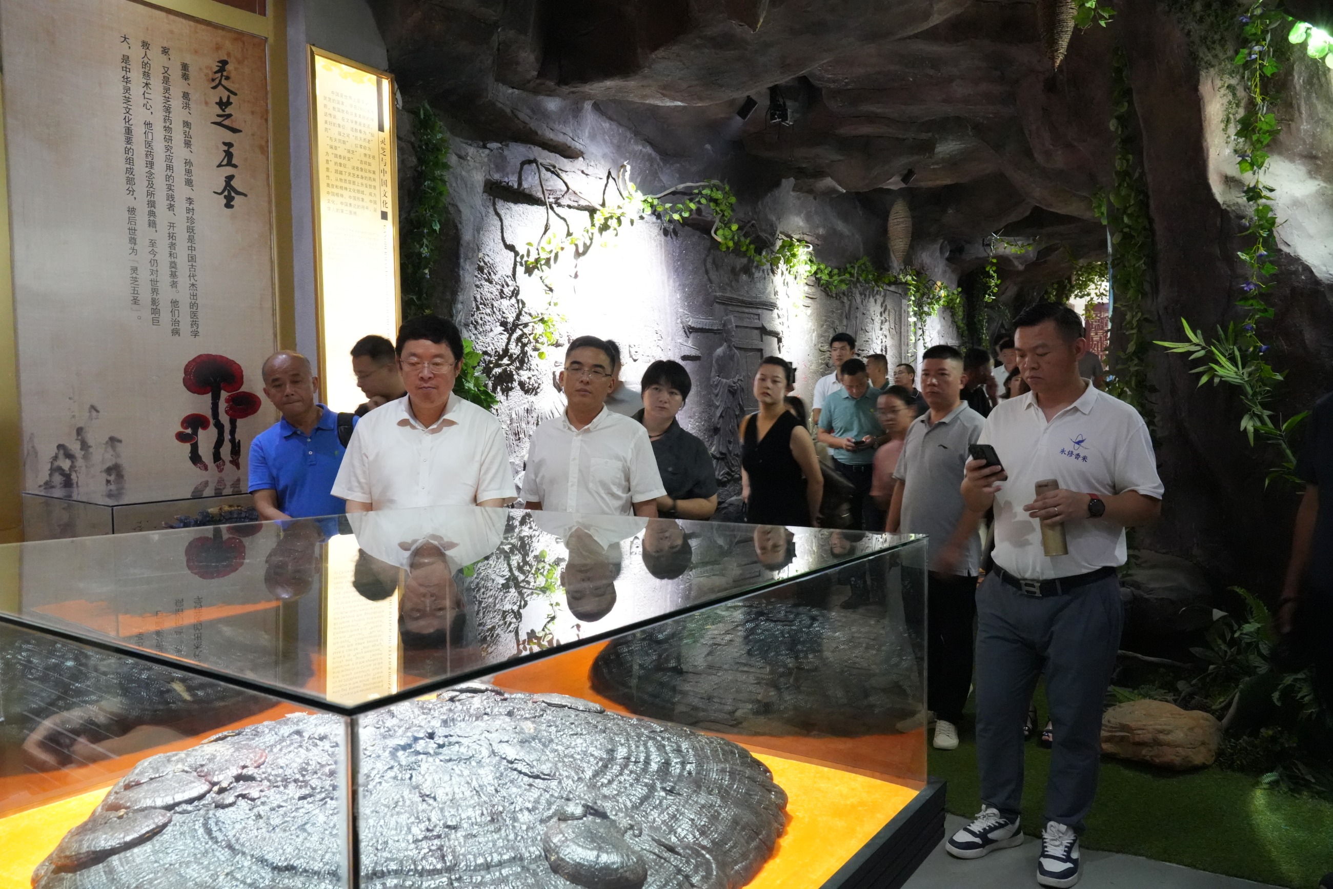 杭州亞運(yùn)會官方靈芝產(chǎn)品供應(yīng)商|杭州亞運(yùn)會官方供應(yīng)商|中國靈芝十大品牌|仙客來靈芝|仙客來靈芝破壁孢子粉|仙客來孢子油|仙客來靈芝飲片|仙客來破壁孢子粉|靈芝孢子油|孢子粉|靈芝破壁孢子粉|靈芝|中華老字號 杭州亞運(yùn)會官方靈芝產(chǎn)品供應(yīng)商|杭州亞運(yùn)會官方供應(yīng)商|中國靈芝十大品牌|仙客來靈芝|仙客來靈芝破壁孢子粉|仙客來孢子油|仙客來靈芝飲片|仙客來破壁孢子粉|靈芝孢子油|孢子粉|靈芝破壁孢子粉|靈芝|中華老字號