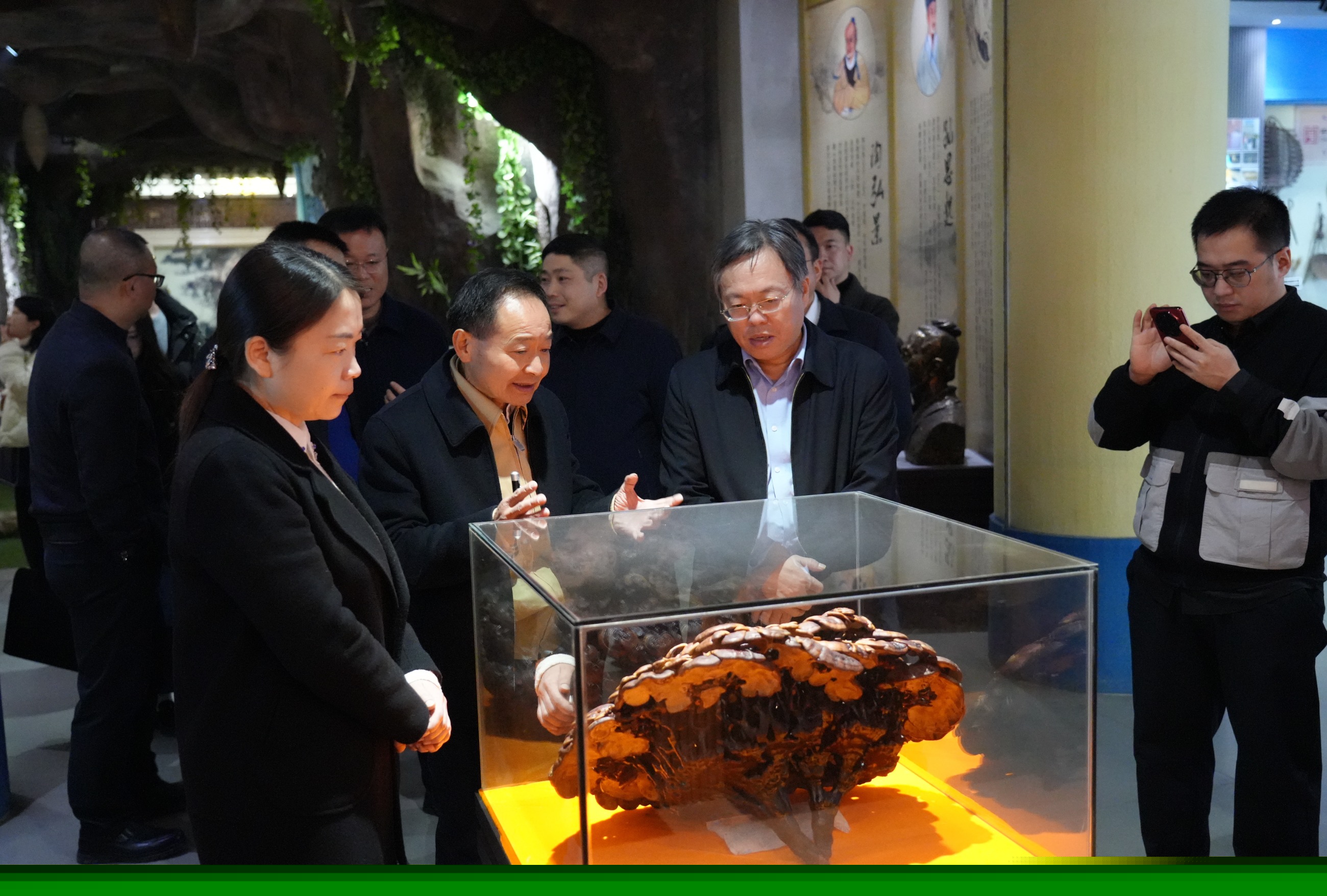 杭州亞運會官方靈芝產(chǎn)品供應商|杭州亞運會官方供應商|中國靈芝十大品牌|仙客來靈芝|仙客來靈芝破壁孢子粉|仙客來孢子油|仙客來靈芝飲片|仙客來破壁孢子粉|靈芝孢子油|孢子粉|靈芝破壁孢子粉|靈芝|中華老字號 杭州亞運會官方靈芝產(chǎn)品供應商|杭州亞運會官方供應商|中國靈芝十大品牌|仙客來靈芝|仙客來靈芝破壁孢子粉|仙客來孢子油|仙客來靈芝飲片|仙客來破壁孢子粉|靈芝孢子油|孢子粉|靈芝破壁孢子粉|靈芝|中華老字號