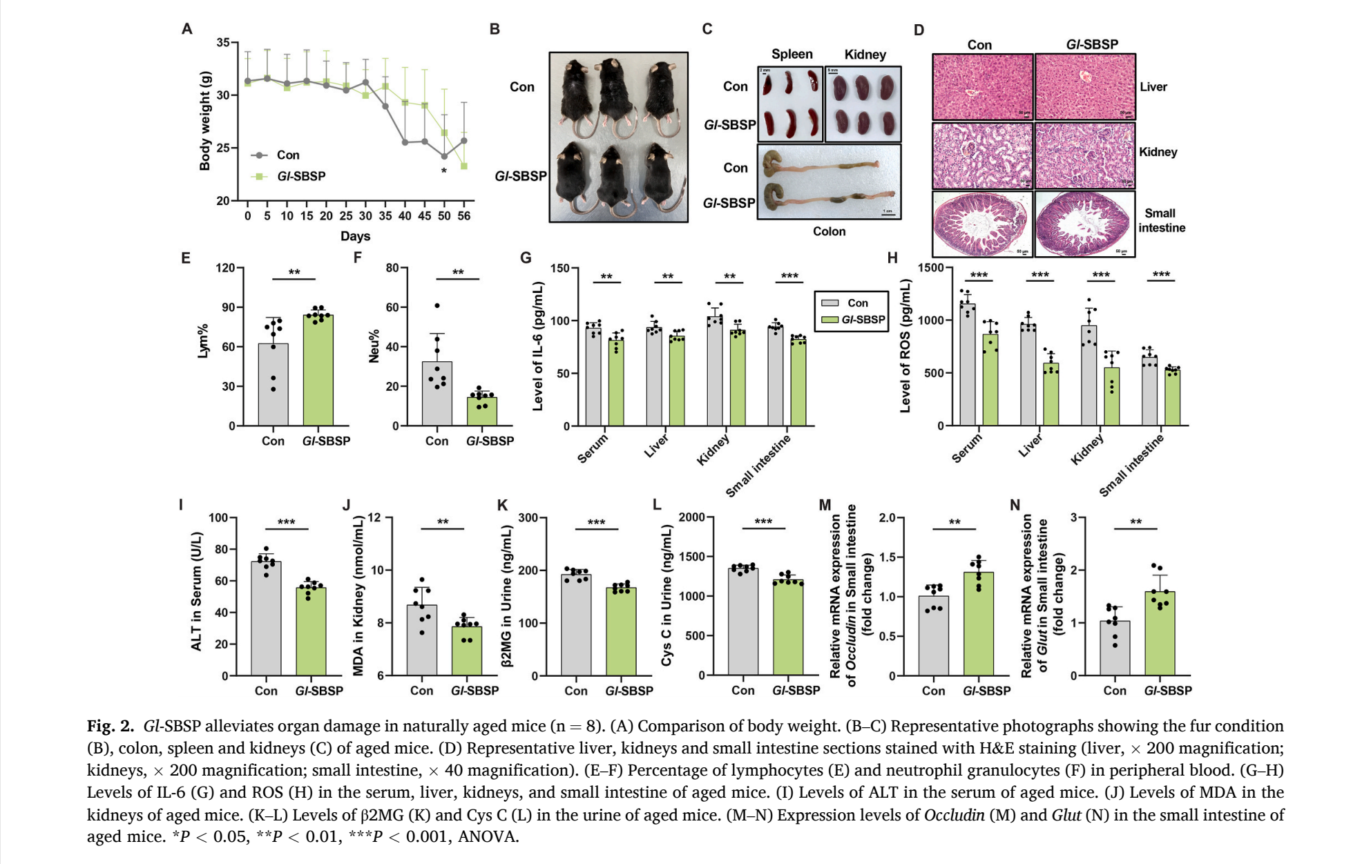 杭州亞運(yùn)會(huì)官方靈芝產(chǎn)品供應(yīng)商|杭州亞運(yùn)會(huì)官方供應(yīng)商|中國靈芝十大品牌|仙客來靈芝|仙客來靈芝破壁孢子粉|仙客來孢子油|仙客來靈芝飲片|仙客來破壁孢子粉|靈芝孢子油|孢子粉|靈芝破壁孢子粉|靈芝|中華老字號 杭州亞運(yùn)會(huì)官方靈芝產(chǎn)品供應(yīng)商|杭州亞運(yùn)會(huì)官方供應(yīng)商|中國靈芝十大品牌|仙客來靈芝|仙客來靈芝破壁孢子粉|仙客來孢子油|仙客來靈芝飲片|仙客來破壁孢子粉|靈芝孢子油|孢子粉|靈芝破壁孢子粉|靈芝|中華老字號