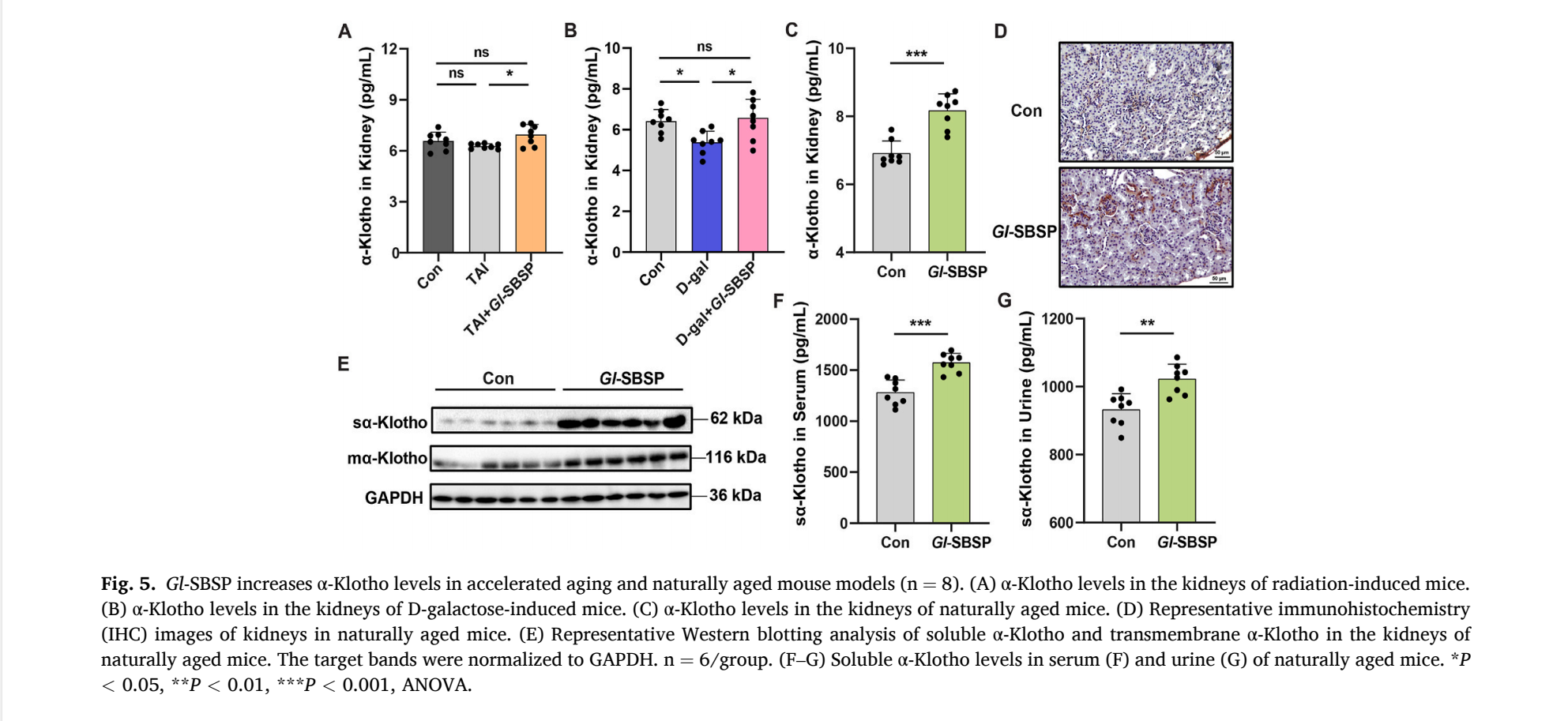 杭州亞運(yùn)會(huì)官方靈芝產(chǎn)品供應(yīng)商|杭州亞運(yùn)會(huì)官方供應(yīng)商|中國靈芝十大品牌|仙客來靈芝|仙客來靈芝破壁孢子粉|仙客來孢子油|仙客來靈芝飲片|仙客來破壁孢子粉|靈芝孢子油|孢子粉|靈芝破壁孢子粉|靈芝|中華老字號 杭州亞運(yùn)會(huì)官方靈芝產(chǎn)品供應(yīng)商|杭州亞運(yùn)會(huì)官方供應(yīng)商|中國靈芝十大品牌|仙客來靈芝|仙客來靈芝破壁孢子粉|仙客來孢子油|仙客來靈芝飲片|仙客來破壁孢子粉|靈芝孢子油|孢子粉|靈芝破壁孢子粉|靈芝|中華老字號