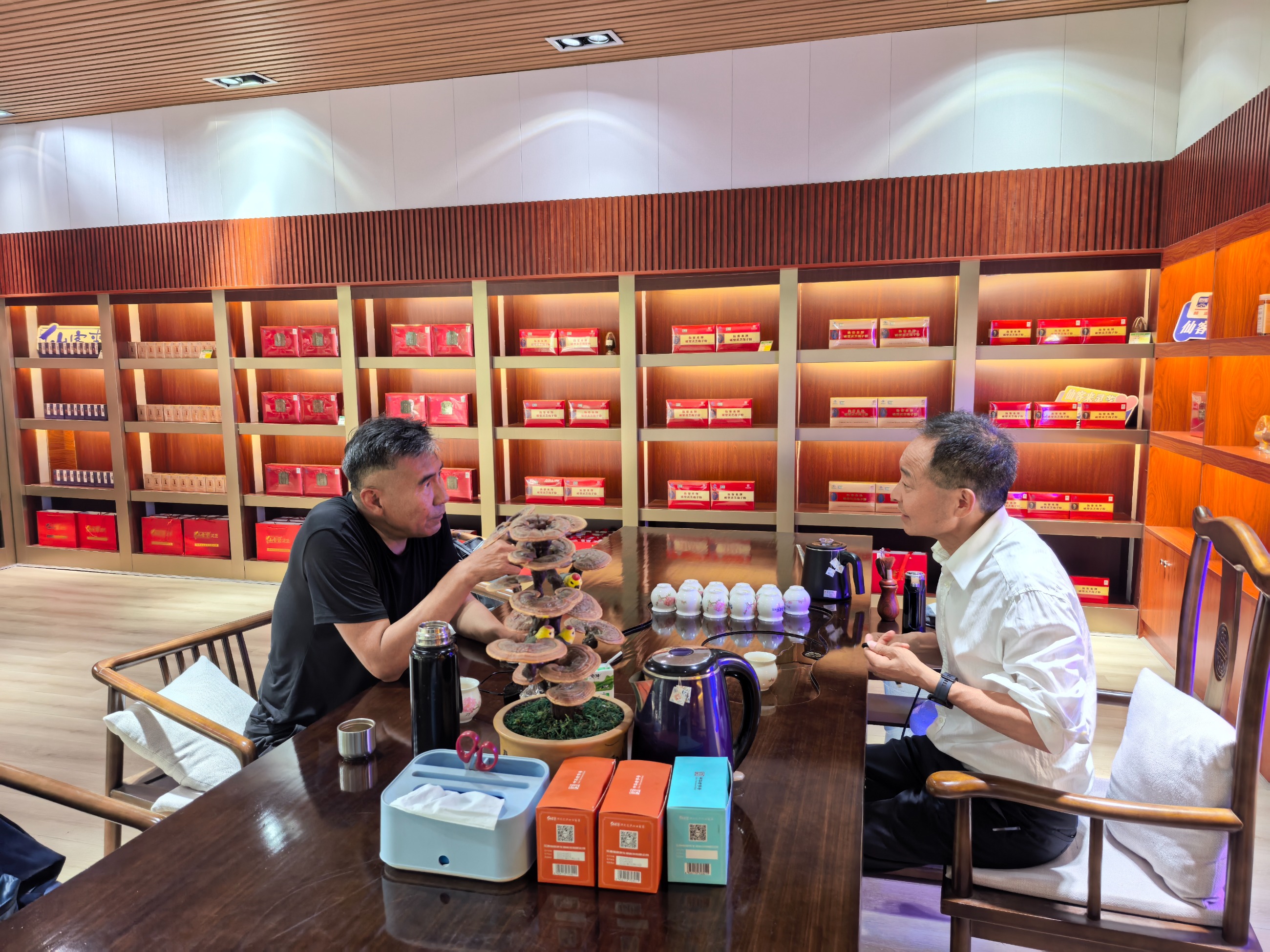 杭州亞運(yùn)會官方靈芝產(chǎn)品供應(yīng)商|杭州亞運(yùn)會官方供應(yīng)商|中國靈芝十大品牌|仙客來靈芝|仙客來靈芝破壁孢子粉|仙客來孢子油|仙客來靈芝飲片|仙客來破壁孢子粉|靈芝孢子油|孢子粉|靈芝破壁孢子粉|靈芝|中華老字號