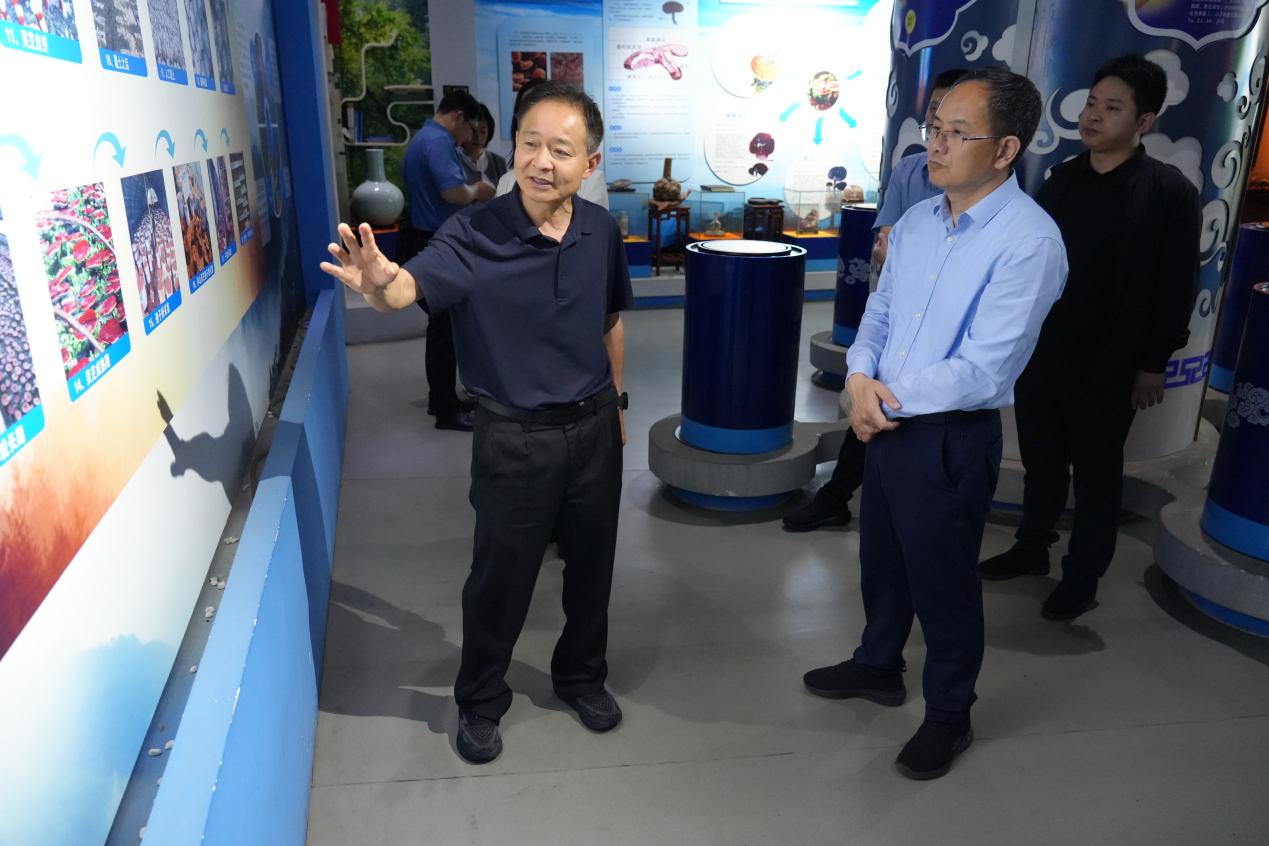 杭州亞運(yùn)會(huì)官方靈芝產(chǎn)品供應(yīng)商|杭州亞運(yùn)會(huì)官方供應(yīng)商|中國(guó)靈芝十大品牌|仙客來(lái)靈芝|仙客來(lái)靈芝破壁孢子粉|仙客來(lái)孢子油|仙客來(lái)靈芝飲片|仙客來(lái)破壁孢子粉|靈芝孢子油|孢子粉|靈芝破壁孢子粉|靈芝|中華老字號(hào)