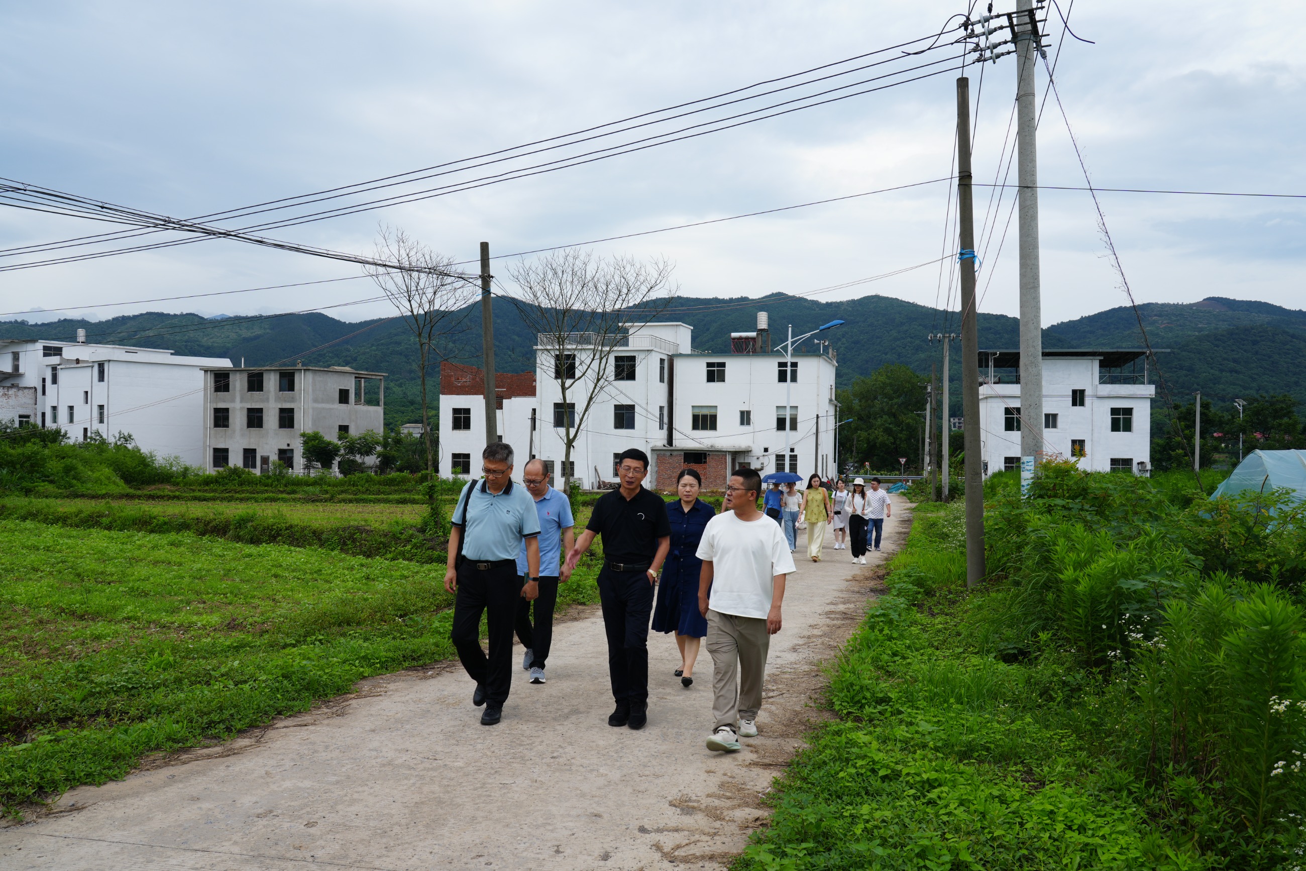 杭州亞運(yùn)會(huì)官方靈芝產(chǎn)品供應(yīng)商|杭州亞運(yùn)會(huì)官方供應(yīng)商|中國(guó)靈芝十大品牌|仙客來(lái)靈芝|仙客來(lái)靈芝破壁孢子粉|仙客來(lái)孢子油|仙客來(lái)靈芝飲片|仙客來(lái)破壁孢子粉|靈芝孢子油|孢子粉|靈芝破壁孢子粉|靈芝|中華老字號(hào)