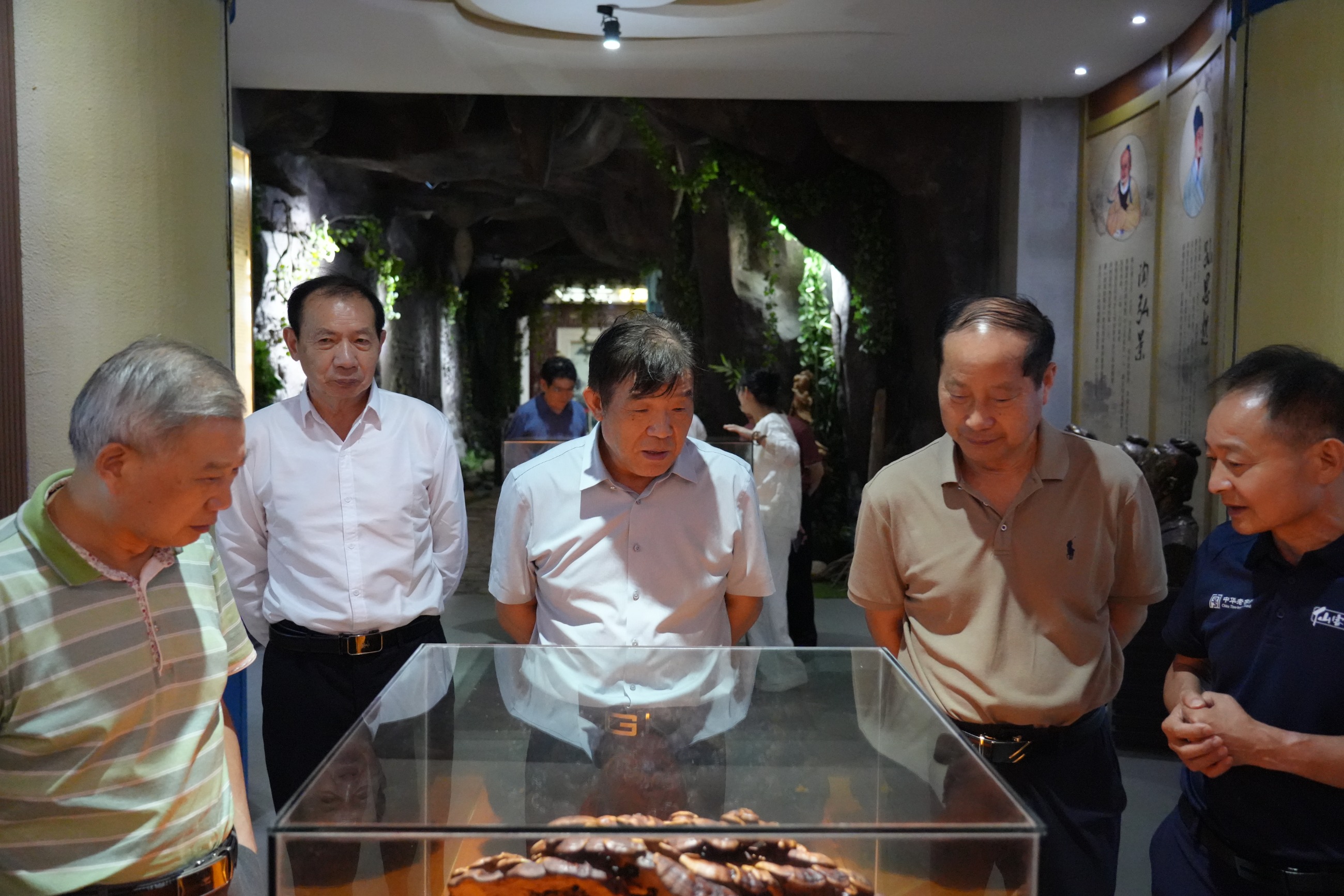 杭州亞運(yùn)會(huì)官方靈芝產(chǎn)品供應(yīng)商|杭州亞運(yùn)會(huì)官方供應(yīng)商|中國(guó)靈芝十大品牌|仙客來靈芝|仙客來靈芝破壁孢子粉|仙客來孢子油|仙客來靈芝飲片|仙客來破壁孢子粉|靈芝孢子油|孢子粉|靈芝破壁孢子粉|靈芝|中華老字號(hào)