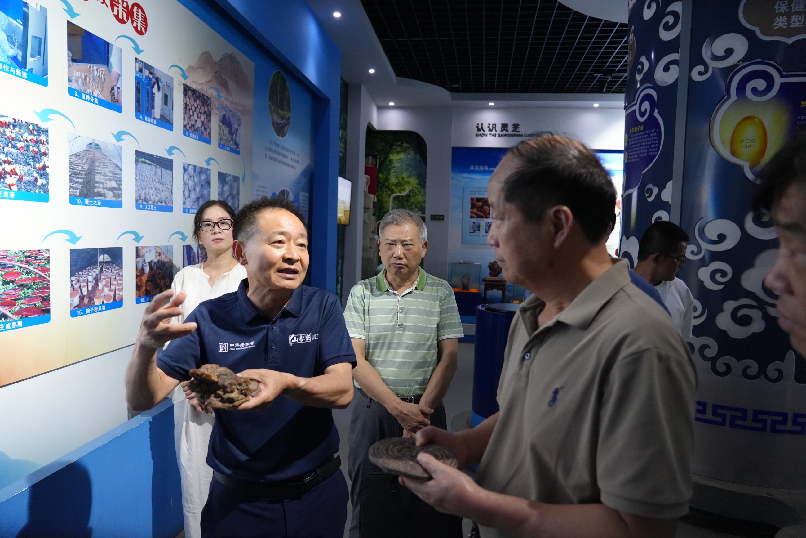 杭州亞運(yùn)會(huì)官方靈芝產(chǎn)品供應(yīng)商|杭州亞運(yùn)會(huì)官方供應(yīng)商|中國(guó)靈芝十大品牌|仙客來靈芝|仙客來靈芝破壁孢子粉|仙客來孢子油|仙客來靈芝飲片|仙客來破壁孢子粉|靈芝孢子油|孢子粉|靈芝破壁孢子粉|靈芝|中華老字號(hào)