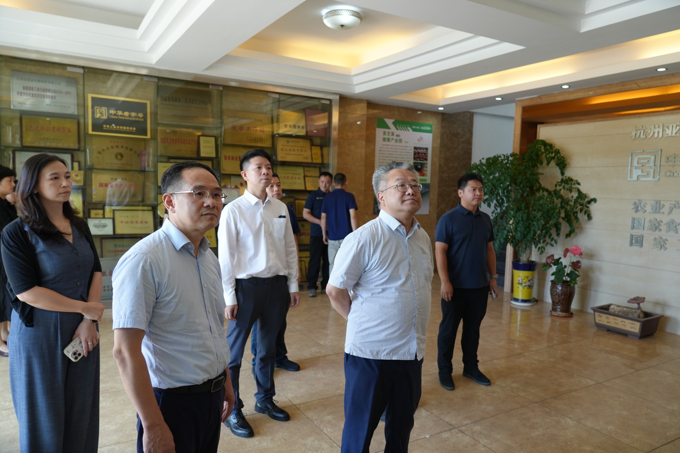 杭州亞運會官方靈芝產(chǎn)品供應(yīng)商|杭州亞運會官方供應(yīng)商|中國靈芝十大品牌|仙客來靈芝|仙客來靈芝破壁孢子粉|仙客來孢子油|仙客來靈芝飲片|仙客來破壁孢子粉|靈芝孢子油|孢子粉|靈芝破壁孢子粉|靈芝|中華老字號