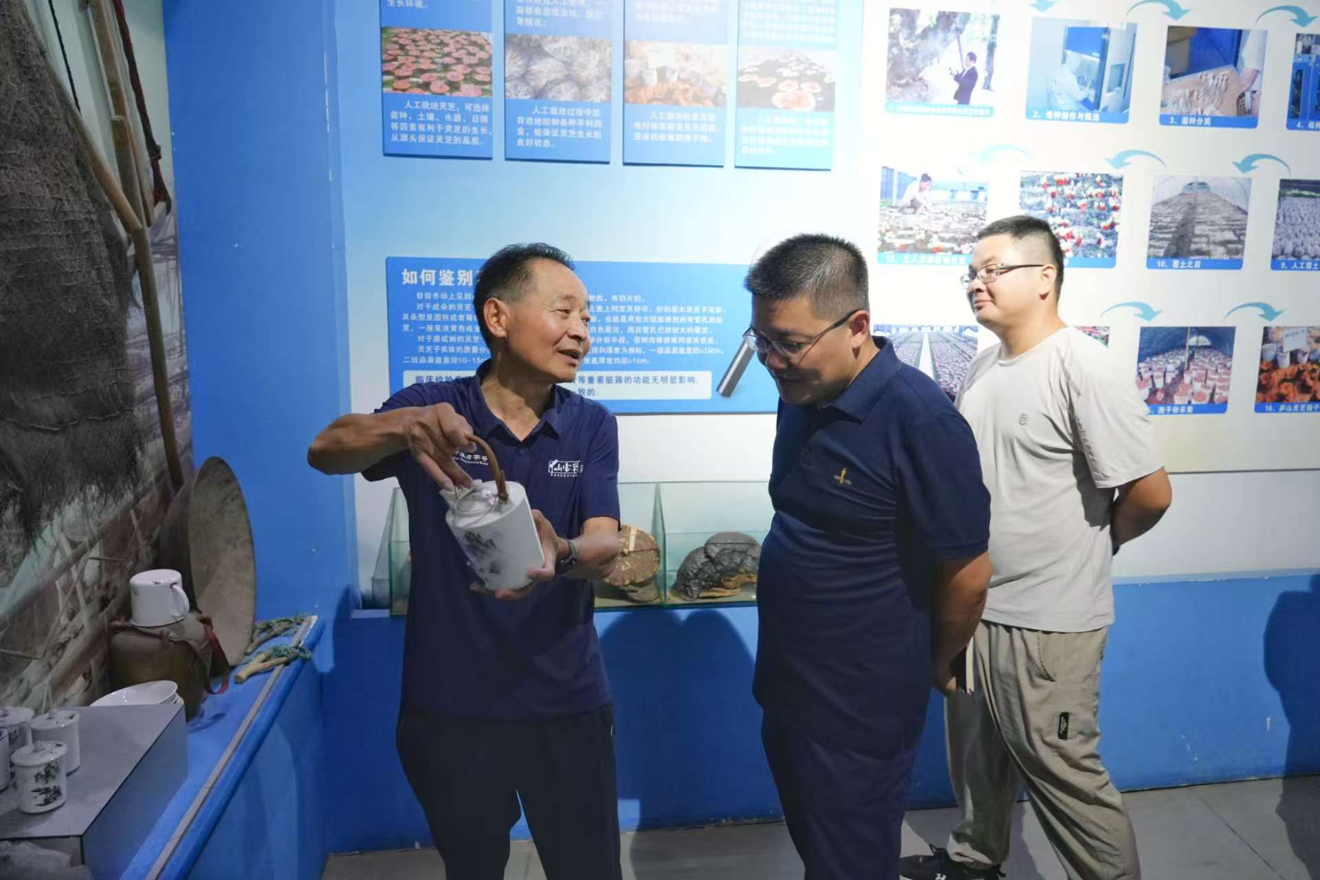 杭州亞運(yùn)會(huì)官方靈芝產(chǎn)品供應(yīng)商|杭州亞運(yùn)會(huì)官方供應(yīng)商|中國(guó)靈芝十大品牌|仙客來(lái)靈芝|仙客來(lái)靈芝破壁孢子粉|仙客來(lái)孢子油|仙客來(lái)靈芝飲片|仙客來(lái)破壁孢子粉|靈芝孢子油|孢子粉|靈芝破壁孢子粉|靈芝|中華老字號(hào)