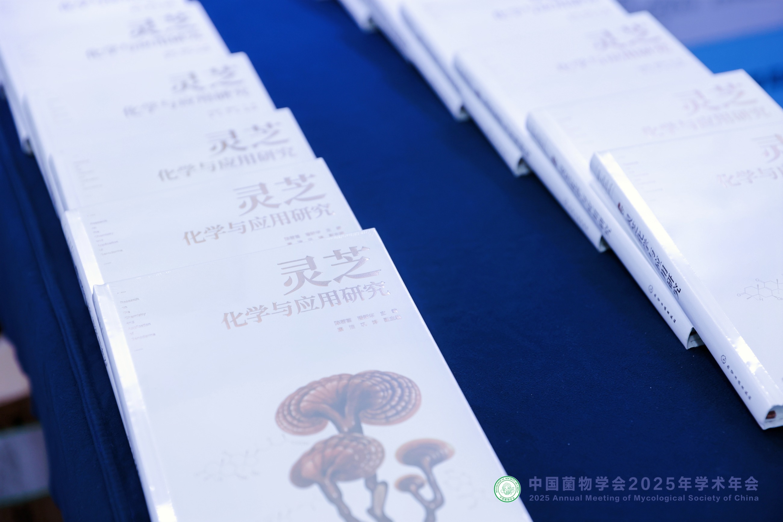 杭州亞運(yùn)會官方靈芝產(chǎn)品供應(yīng)商|杭州亞運(yùn)會官方供應(yīng)商|中國靈芝十大品牌|仙客來靈芝|仙客來靈芝破壁孢子粉|仙客來孢子油|仙客來靈芝飲片|仙客來破壁孢子粉|靈芝孢子油|孢子粉|靈芝破壁孢子粉|靈芝|中華老字號 杭州亞運(yùn)會官方靈芝產(chǎn)品供應(yīng)商|杭州亞運(yùn)會官方供應(yīng)商|中國靈芝十大品牌|仙客來靈芝|仙客來靈芝破壁孢子粉|仙客來孢子油|仙客來靈芝飲片|仙客來破壁孢子粉|靈芝孢子油|孢子粉|靈芝破壁孢子粉|靈芝|中華老字號