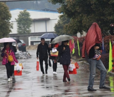 九江暴雨，仙客來(lái)“暴游”