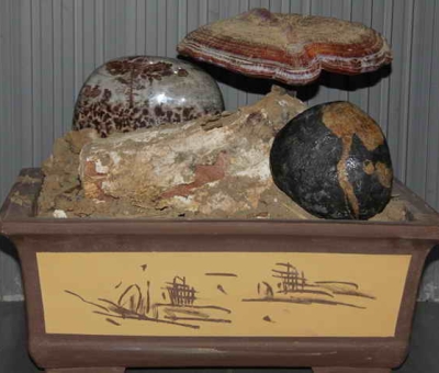 仙客來(lái)四件作品入選“首屆中國(guó)食用菌文化作品展”