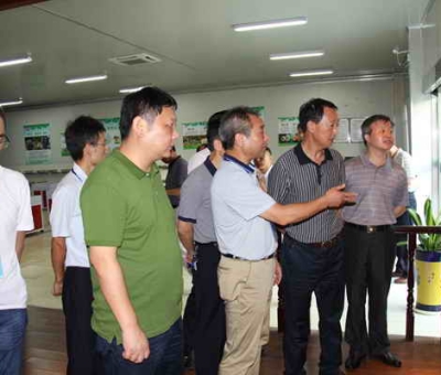 德安縣委、人大、政協(xié)領(lǐng)導(dǎo)考察仙客來公司