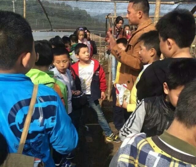 仙客來有機靈芝全產(chǎn)業(yè)鏈可視工廠今年接待游客突破7萬