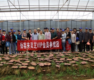 “慶國慶、賀重陽”專家義診活動(dòng)在仙客來公司隆重舉行