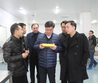 江西省檢察院黨組成員、副檢察長(zhǎng)徐勝平一行來公司走訪調(diào)研