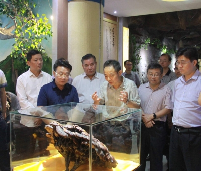 &ldquo;降成本，優(yōu)環(huán)境&rdquo;助企業(yè)騰飛&mdash;&mdash;江西省政協(xié)副主席率團(tuán)調(diào)研仙客來！