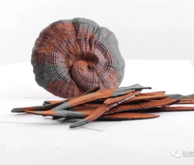 先，鮮，仙，一杯飲盡天下鮮。