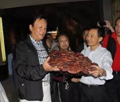 這樣過三月才是人生贏家！