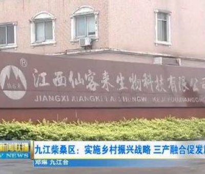 中國人只需要“別具”，缺失了“匠心”！