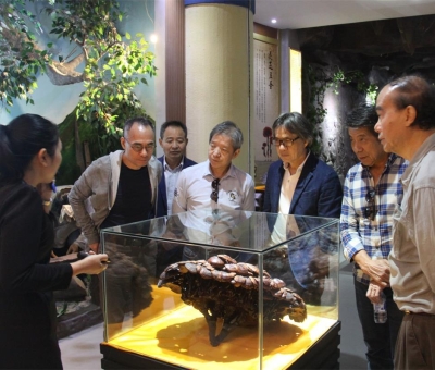 健康“良方”在這！全國(guó)政協(xié)委員、世界著名大學(xué)香港大學(xué) 榮譽(yù)院士孫少文博士蒞臨仙客來(lái)公司參觀考察