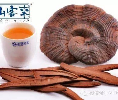 熱潮不斷！仙客來有機靈芝被點贊刷屏