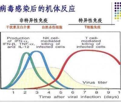 研究發(fā)現：新冠病毒攻擊人體免疫細胞 擊毀免疫系統(tǒng)