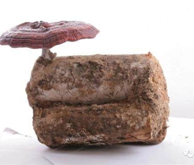 小滿時節(jié)脾胃失調(diào)，如何養(yǎng)生才健康？