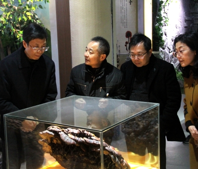 江西省工商聯(lián)副主席鄒常軍深入仙客來(lái)公司考察調(diào)研