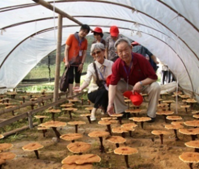 “七一勛章”獲得者張桂梅背后的故事：他們將靈芝磨成粉，送給她拌飯吃，說，吃這些能治病