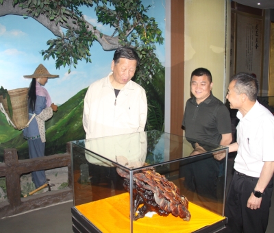 安徽省軍區(qū)原參謀長呂錄庭將軍蒞臨仙客來參觀調(diào)研