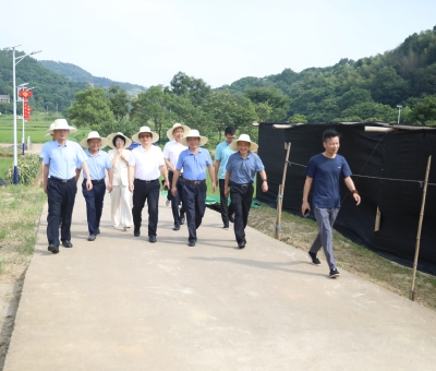 全國工商聯社會服務部部長吳建輝一行蒞臨仙客來靈芝標準化基地等地調研