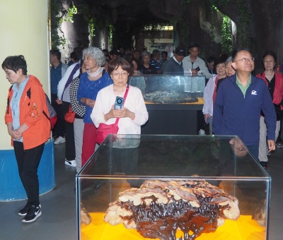 深深靈芝情！中華全國供銷合作總社再訪仙客來