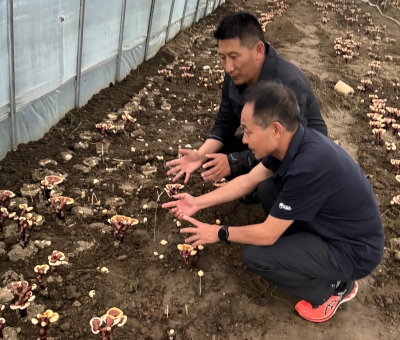 助力少數(shù)民族地區(qū)發(fā)展！潘新華應(yīng)邀前往西藏拉薩市和林芝市 共商產(chǎn)業(yè)發(fā)展良策