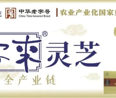 贊助商-仙客來靈芝，為健康加油